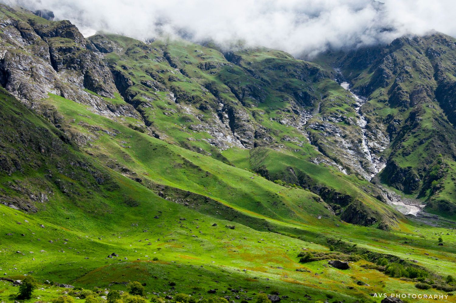 Valley of Flowers Trek
